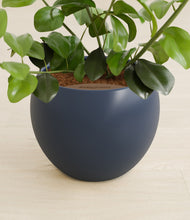 Load image into Gallery viewer, Deep Navy stand:all