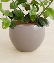 Load image into Gallery viewer, Winter Clouds stand:all