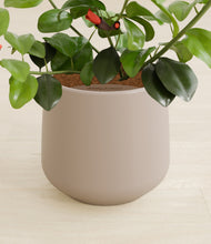 Load image into Gallery viewer, Eternal Gray stand:all