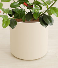 Load image into Gallery viewer, Cream stand:all