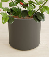 Load image into Gallery viewer, Dark Olive stand:all