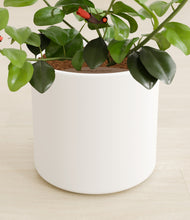 Load image into Gallery viewer, White stand:all