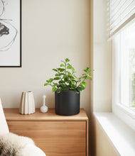 Load image into Gallery viewer, Black