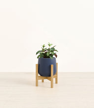 Load image into Gallery viewer, Deep Navy stand:bamboo