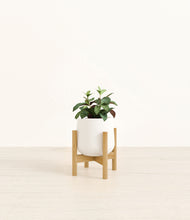 Load image into Gallery viewer, White stand:bamboo