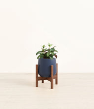 Load image into Gallery viewer, Deep Navy stand:walnut