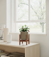 Load image into Gallery viewer, Olive stand:walnut