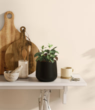 Load image into Gallery viewer, Black