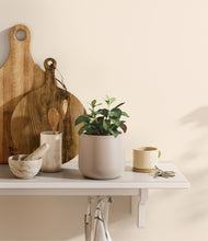 Load image into Gallery viewer, Eternal Gray