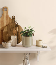 Load image into Gallery viewer, Sage Green