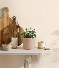 Load image into Gallery viewer, Sandy Pink