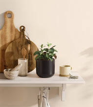 Load image into Gallery viewer, Stone Black