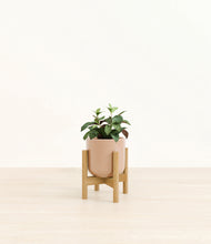 Load image into Gallery viewer, Glossy Pink stand:bamboo