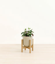 Load image into Gallery viewer, Sage Green stand:bamboo