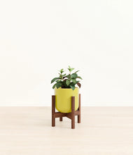 Load image into Gallery viewer, Key Lime Yellow stand:walnut