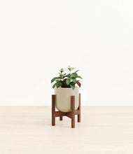 Load image into Gallery viewer, Sage Green stand:walnut