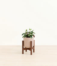 Load image into Gallery viewer, Sandy Pink stand:walnut