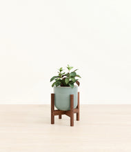 Load image into Gallery viewer, Reactive Aqua stand:walnut