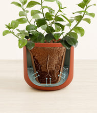 Load image into Gallery viewer, Earth Red