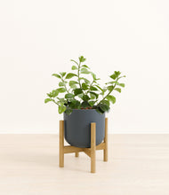 Load image into Gallery viewer, Iron Gray stand:bamboo