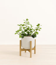 Load image into Gallery viewer, Natural Bamboo stand:bamboo