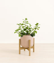Load image into Gallery viewer, Sandy Pink stand:bamboo