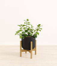 Load image into Gallery viewer, Stone Black stand:bamboo