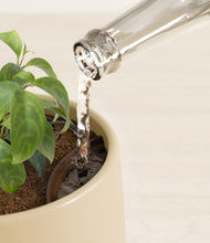 Load image into Gallery viewer, Almond Green stand:all