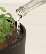 Load image into Gallery viewer, Black stand:all