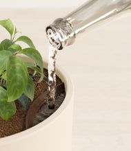 Load image into Gallery viewer, Cream stand:all