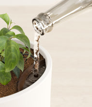 Load image into Gallery viewer, White stand:all