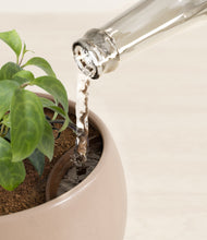 Load image into Gallery viewer, Desert Brown stand:all