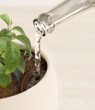 Load image into Gallery viewer, Shiny EggWhite stand:all