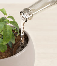 Load image into Gallery viewer, Winter Clouds stand:all