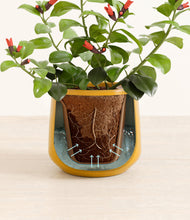 Load image into Gallery viewer, Mustard stand:all