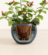 Load image into Gallery viewer, Deep Navy stand:all