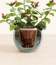 Load image into Gallery viewer, Deep Ocean stand:all