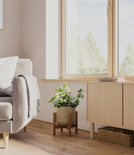 Load image into Gallery viewer, Olive stand:walnut