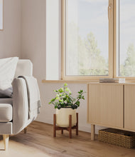 Load image into Gallery viewer, Almond Green stand:walnut