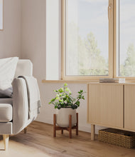 Load image into Gallery viewer, Eternal Gray stand:walnut