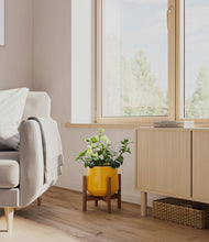 Load image into Gallery viewer, Mustard stand:walnut