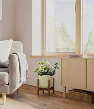 Load image into Gallery viewer, Turquoise stand:walnut