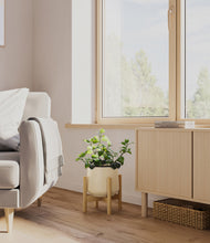 Load image into Gallery viewer, Almond Green stand:bamboo