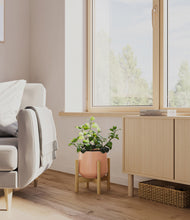 Load image into Gallery viewer, Calm Rose stand:bamboo