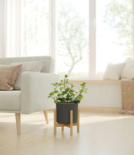 Load image into Gallery viewer, Dark Olive stand:bamboo