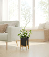 Load image into Gallery viewer, Black stand:bamboo