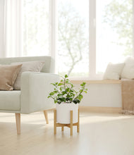 Load image into Gallery viewer, White stand:bamboo