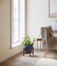 Load image into Gallery viewer, Deep Navy stand:walnut