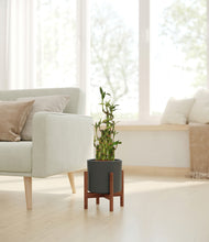 Load image into Gallery viewer, Dark Olive stand:dark