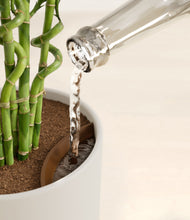 Load image into Gallery viewer, Natural Bamboo stand:all